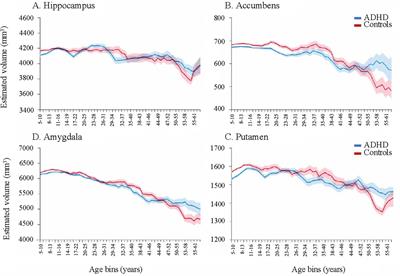 Neuroprotection in late life attention-deficit/hyperactivity disorder: A review of pharmacotherapy and phenotype across the lifespan